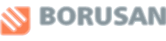 Borusan Holding